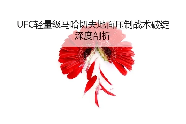 qing-liang-ji-ma-ha-qie-fu-di-mian-ya-zhi-zhan-shu-po-zhan-shen-du-pou-xi-3-843.jpg