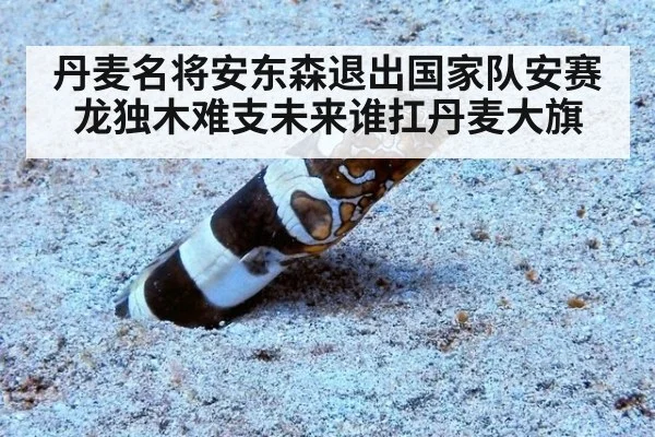丹麦名将安东森退出国家队安赛龙独木难支未来谁扛丹麦大旗